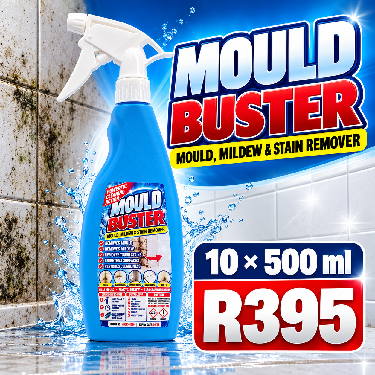 Mould Buster (10 x 500ml)